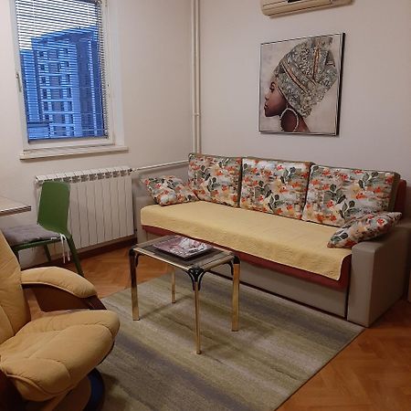 Vlado Apartment Vs Belgrade Luaran gambar